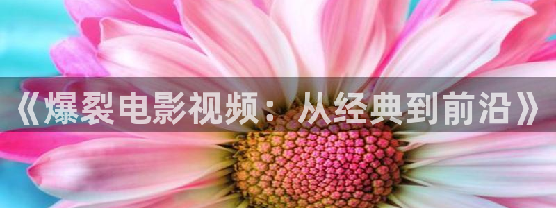 秋霞理伦理片