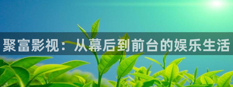 秋霞极速影院