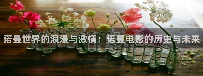 eeuss秋霞午夜免费影院四平