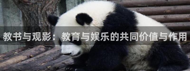 秋霞电影韩国理论片