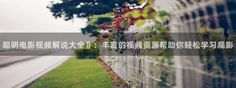 8秋霞电影
