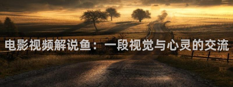 神马电影网秋霞网