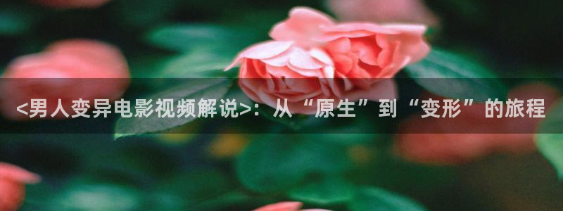 秋霞理论高清电影