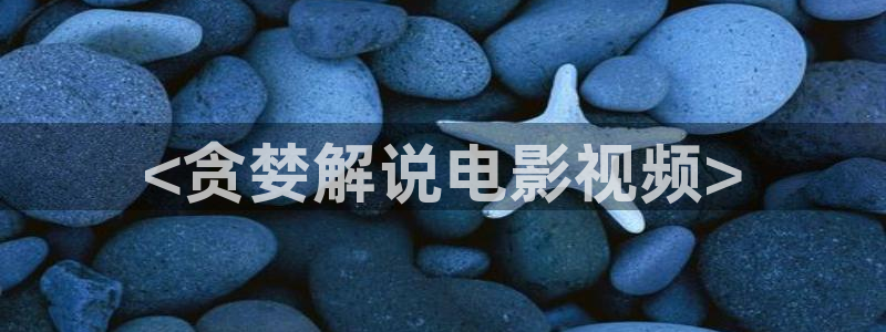 秋霞电影网先锋