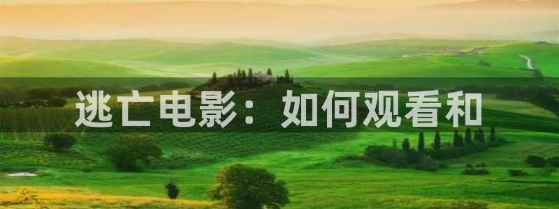 2017秋霞电影
