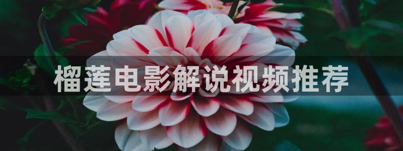 秋霞电影的