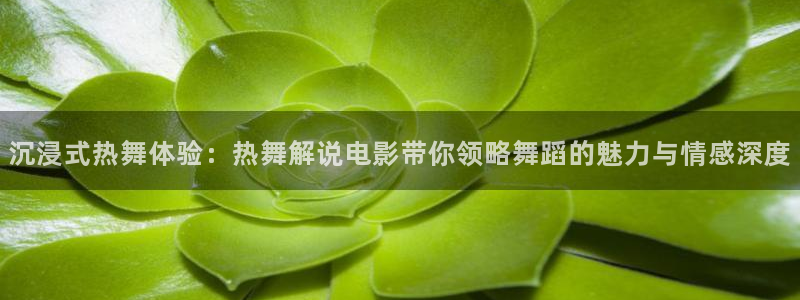 秋霞露丝网