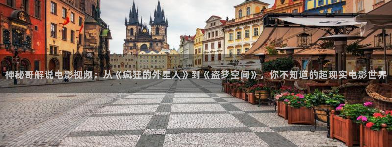 秋霞网综合