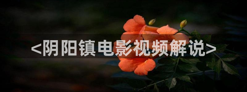 秋霞影院动漫