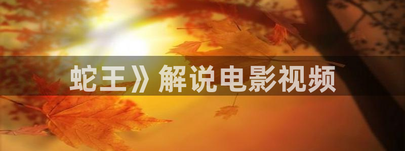 秋霞网韩国