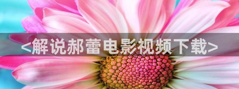 秋霞电影网麻豆精东