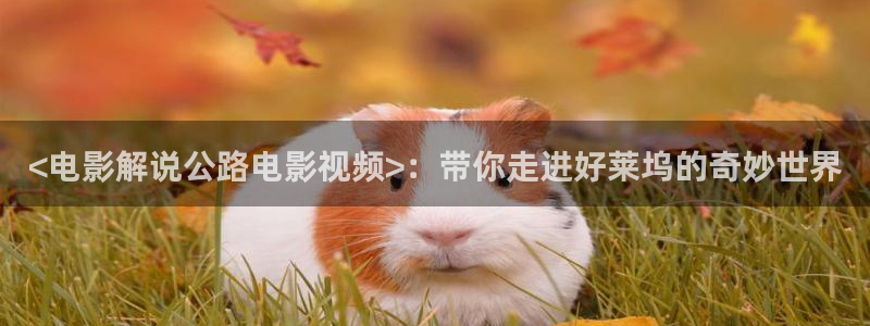 新闻图片