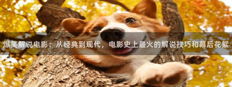秋霞影院伦理手机在线观看