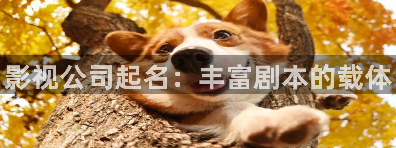 秋霞理论高清在线观看
