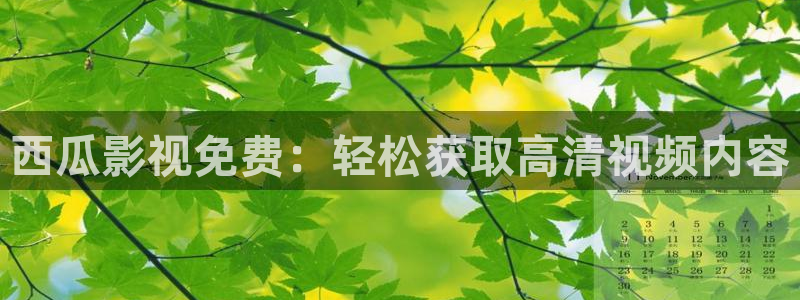 秋霞网小说