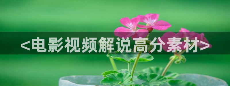 达达兔秋霞电影