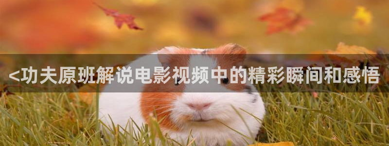 秋霞电影网手机