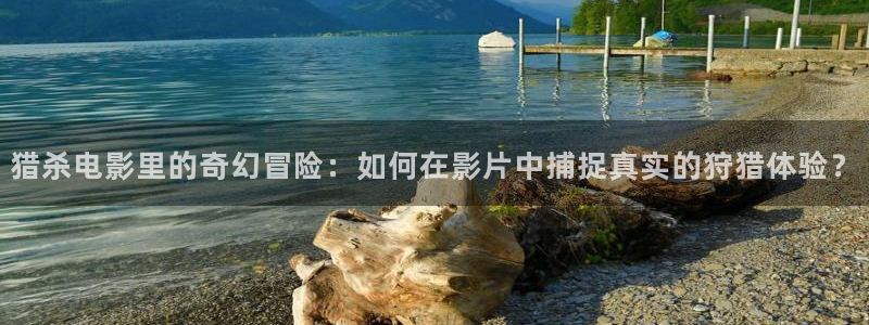 秋霞理论电影在线免费观看